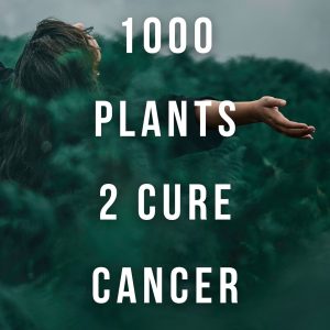 1000 Plants To Cure Cancer – Herbal Research & Wellness Reference Guide (PDF Download)
